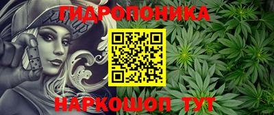 Альфа ПВП Северобайкальск