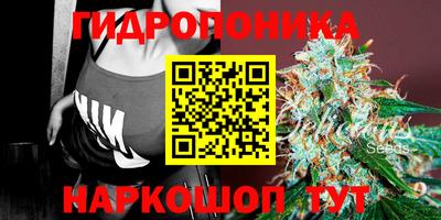 тгк Свободный
