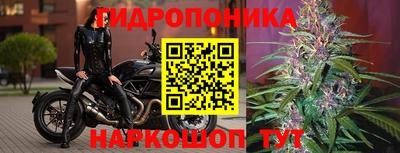 тгк Свободный