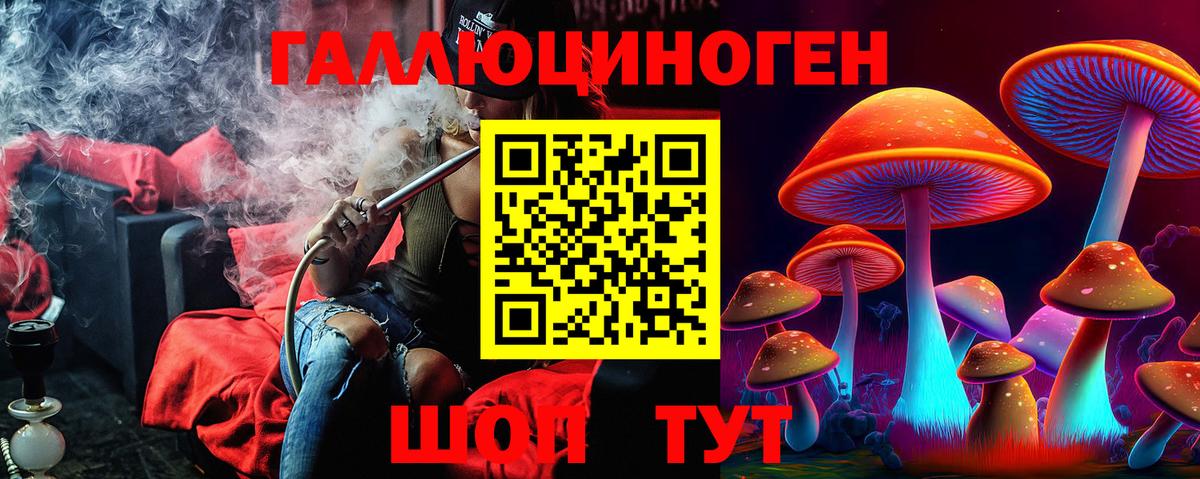 Псилоцибиновые грибы Cubensis Мелеуз