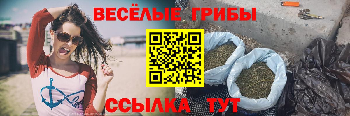 Псилоцибиновые грибы Cubensis  Вход с VPN  Мелеуз 